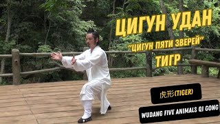 虎形Tiger - Wudang Five Animals Qi Gong (Master Chen Shiyu)  - Тигр ("игры пяти зверей")