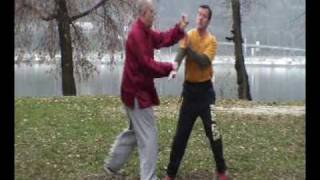 Chi Sao Sifu Tunik