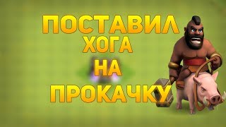 Апнул хога на 2 уровень