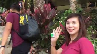 Experience Mambukal Mountain Resort