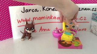 lps pet shop LAURA PREKSTAVA VS REALITA
