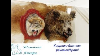 Почему письма попадают в спам/ Что делать, чтобы письма не попадали в спам?
