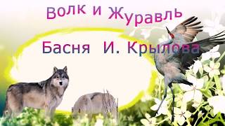 Волк и журавль !