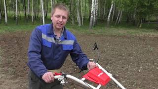 ПАШЕМ МОТОБЛОКОМ БЕЗ ГРУЗА КОНСКИМ ПЛУГОМ
