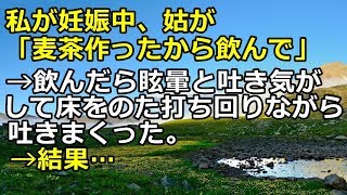 【修羅場・嫁姑】私が妊娠中、姑が「麦茶作ったから飲んで」→飲んだら眩暈と吐き気がして床をのた打ち回りながら吐きまくった。→結果…≪はるちゃんねる≫