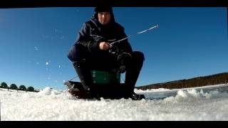 Окунь на топорик, зимняя рыбалка в Финском заливе | Ahven kombainiga Soome lahel | Winter fishing