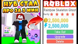 СИМУЛЯТОР ПИТОМЦЕВ! НУБ СТАЛ ПРО ЗА 5 МИНУТ! САМЫЙ СИЛЬНЫЙ В МИРЕ ПИТОМЕЦ ROBLOX PET SIMULATOR