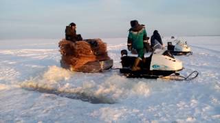 Карась на невод, отличный улов