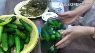 Самый легкий способ засолить огурчики на зиму#xiyar turşusu