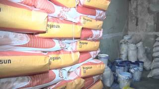На Днепропетровщине аферисты красили зерна на продажу