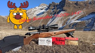 Обзор винтовки Лось-145 308win