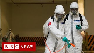 Coronavirus: Largest study suggests elderly and sick are most at risk - BBC News