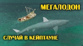 Мегалодон Жив (2 серия) - Случай в Кейптауне