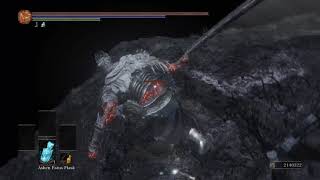 Dark Souls 3 Yhorm vs Champion Gundyr 2xHP Boss vs Boss