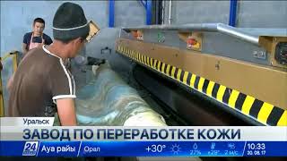 Завод по переработке кожи построен в ЗКО