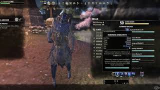ESO PvP Heavy Necromancer Healer Build video + Necro healing explained! With montage