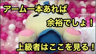 クレーンゲーム  確率が来たと思ったら…！？