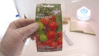 Томат Мона Лиза. СеДеК