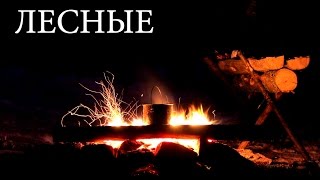 КОСТЕР "ПЕЧКА" | САМЫЙ ЖАРКИЙ