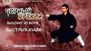 4. Быстрый Кулак Школы Лун Мэнь. Черный Дракон. Основы Ушу. Пушечный Удар. Развитие Внутренней Силы.