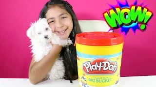 MBBB Giant Play Doh Bucket With Surprise Toys Shopkins Angry Birds Num Noms!! B2cutecupcakes