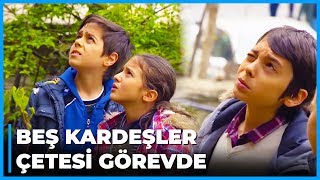 Memo ve Arkadaşları Kaçakçıların Peşinde - İkizler Memo-Can 23. Bölüm