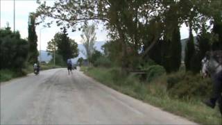 ΑΡΑΒΑΝΙΑΡΙΚΑ ΑΛΟΓΑ ,ΑΓΙΟΣ ΓΕΩΡΓΙΟΣ 2010,ΒΟΝΙΤΣΑ