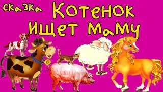 сказка. Котенок ищет маму. Бабулины сказки