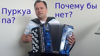 Pourqua pas? Пуркуа Па - Почему бы нет? [Кавер под баян ** на песню из фильма Три Мушкетёра.]