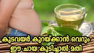 കുടവയർ കുറയ്ക്കും ഈ ചായ | Guava Leaf Tea For Fat Burning
