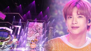 [덕질캡쳐용♥CLEAN ver.] 엔플라잉 - 봄이 부시게 (N.Flying - Spring Memories)