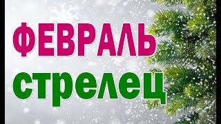 СТРЕЛЕЦ  ФЕВРАЛЬ  2020.  Таро прогноз