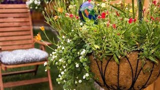 Top most beautiful plants for Hanging baskets ||Home Decor Ideas