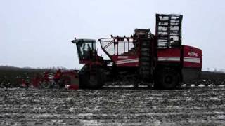 Kombajn do buraków Grimme - Rexor 620 - Raitech