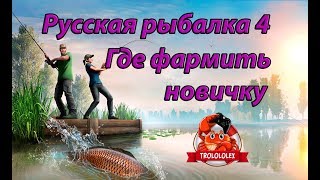 Где фармить новичку Русская рыбалка 4, как фармить новичку, оз.комариное , карась золотой