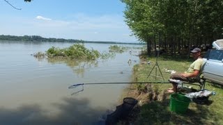 Danube Feeder fishing - Pescuit la feeder pe Dunare