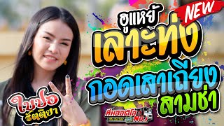 เบสโคตรแน่น !! เลาะท่ง l กอดเสาเถียง l ใบปอ รัตติยา [ทีมออดิโอ No.1]