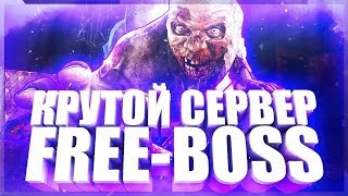 Играем на Пирог Зомби с бесплатной VIP+ADMIN+BOSS+HOOK Зомби сервер 1.6