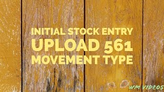 Initial Stock Entry Upload   561 Movement Type (Mtype)  - SAP WM Videos