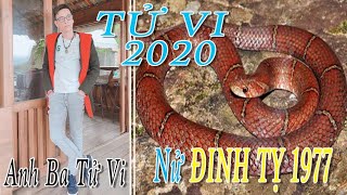Tử Vi 2020 tuổi ĐINH TỴ 1977 Nử Mạng