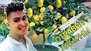 Школьные пакости #10 Отравил лимоны математика ! [РОСТЯН]
