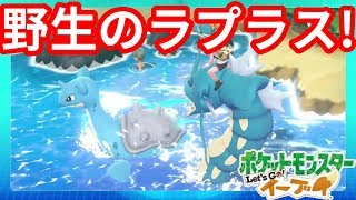 なぜか図鑑にいなかったポケモンを捕まえる！【ポケモンLet'sGO！イーブイ】