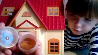 Открываем домик Сильвания Фэмили Sylvanian Families Open house Sylvanian Families