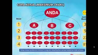 Legalitas 3i Network Car di OJK