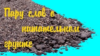 Питательный грунт для аквариума! Почему я запустил аквариум без подложки[#Питательный грунт]