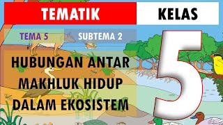 Revisi Soal Tematik Kelas 5 Tema 5 Subtema 2 | Hubungan Antar Makhluk Hidup dalam Ekosistem