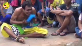 Kuda lumping kesurupan versi Jaranan ndadi lucu Kesenian Kuda Kepang GAGAK RIMANG
