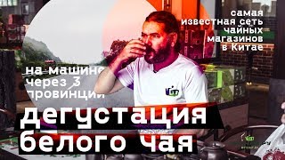 Сеть чайных магазинов в Китае. Дегустация белого чая. На машине через 3 провинции