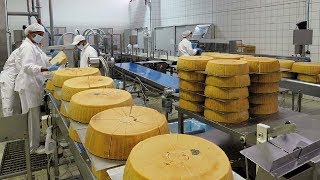 Amazing Cake Automated Processing Machines in Factory - Ice Cream Cake, Cheese Cake & Chocolate Cake