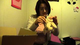 Opening My Japanese New Year Lucky Bag (Fukubukuro)